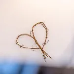 Weinrebe *