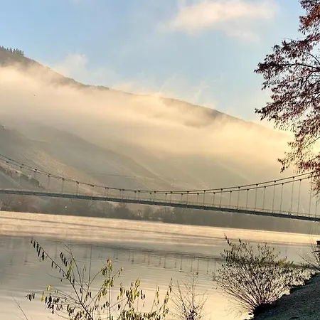 Appartement Weinrebe *