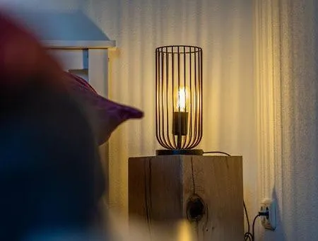 Weinrebe Appartement Verbandsgemeinde Bernkastel-Kues