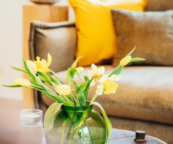 Weinrebe דירה ברנקסטל - קיס