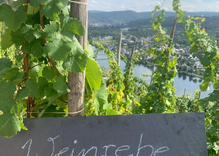 דירה Weinrebe ברנקסטל - קיס